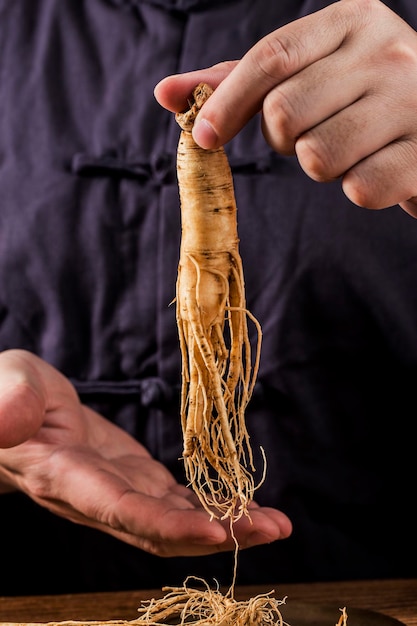 Um praticante de medicina chinesa está selecionando a medicina tradicional chinesa de ginseng