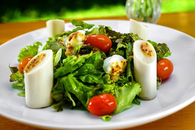 Um prato de salada com queijo e tomate