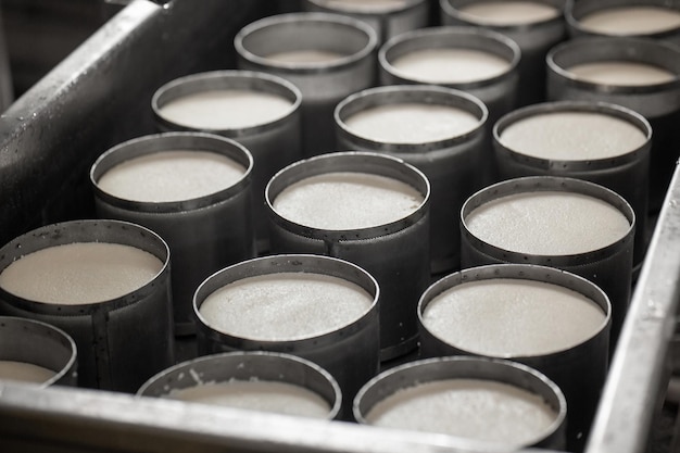 Um produtor de queijo caseiro produz mussarela artesanal com leite fresco de qualidade de suas vacas ovelhas pela manhã conceito de mussarela italiana tradicional