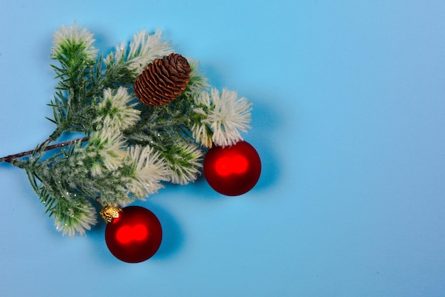 Um raminho de abeto decorado com uma bola de Natal vermelha sobre um fundo azul. Copie o espaço.