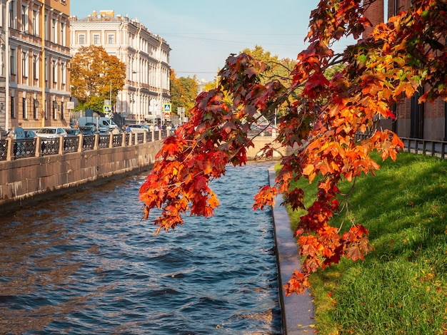 Um ramo de bordo vermelho do outono sobre a água azul. distrito da nova holanda em são petersburgo, rússia.