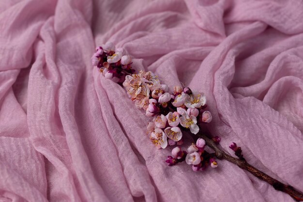 um ramo de damasco florescendo em um tecido rosa flores em um fundo rosa