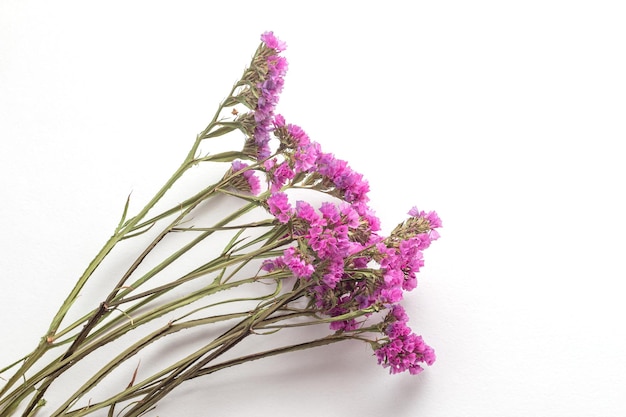 Foto um ramo de pequenas flores cor de rosa em um fundo branco imagem de flores secas flores românticas perezia limonium kermek statica