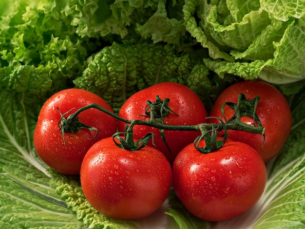 Um ramo de tomates maduros nas folhas de couve chinesa e alface. Gotas de água no tomate. Fechar-se.