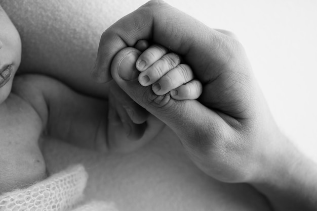 Um recém-nascido segura o dedo do pai da mãe Mãos dos pais e do bebê close-up Uma criança confia e segura seus dedos minúsculos de um recém-nascido Macrofoto preto e branco Conceitos de família e amor