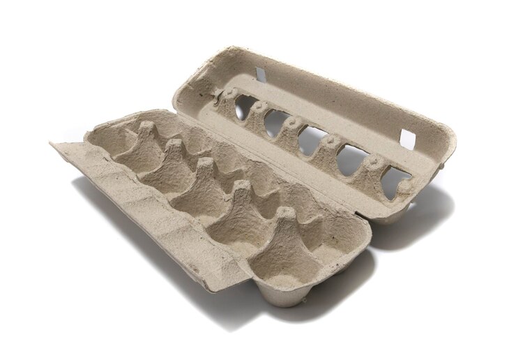 Foto um recipiente de caixa de ovos para uma dúzia de ovos isolado em um fundo branco conceito de produtos ecológicos