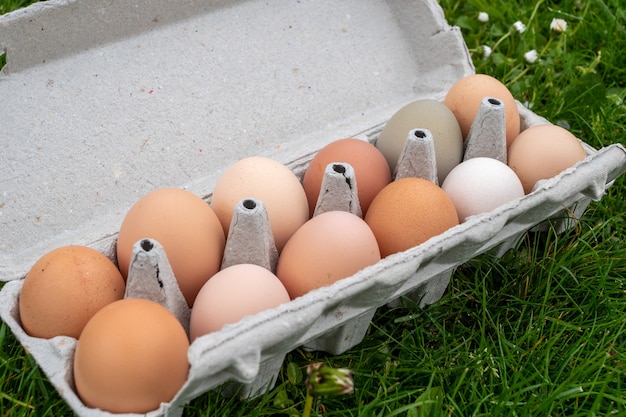 Um recipiente de papelão com ovos de galinha na grama