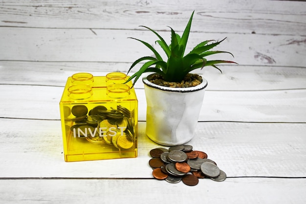 Um recipiente de plástico amarelo com as palavras investir ao lado de uma planta.