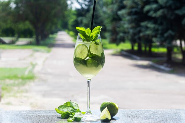 Um refrescante cocktail de verão com uma fatia de limão. Bebida alcoólica. Decorado com um raminho de hortelã e cubos de gelo. No bar.