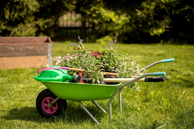 Um regador de jardim luvas pequena pá carrinho de mão de jardim em um gramado verde Belo jardim ar