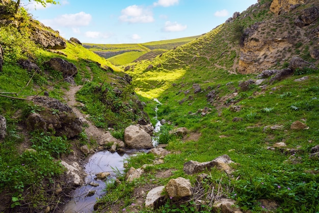 Um riacho em um desfiladeiro verde da montanha