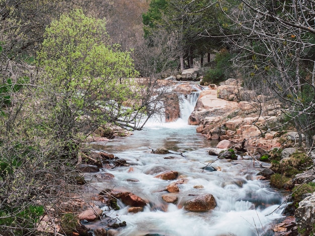 Um riacho na floresta em um dia ensolarado. Água fluindo por um riacho perto das montanhas.