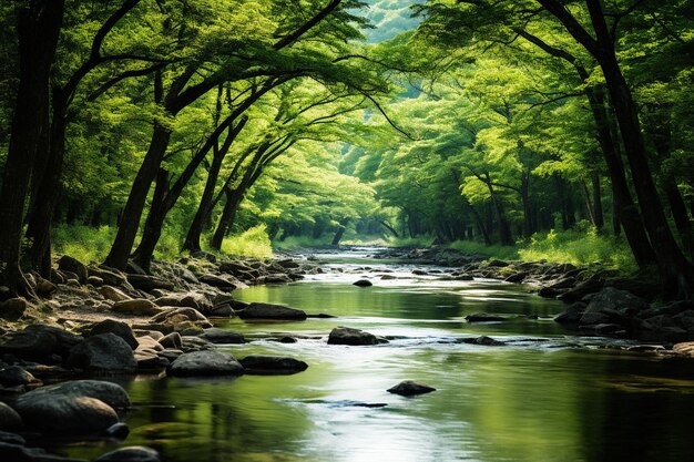 Um riacho pacífico serpenteando através de uma floresta