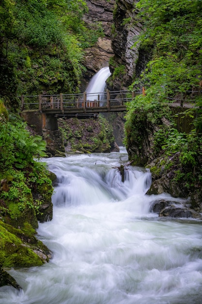 Um riacho que passa sob uma ponte cercada por vegetação verde