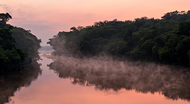 Um rio amazônico mágico cheio de névoa num belo nascer do sol.