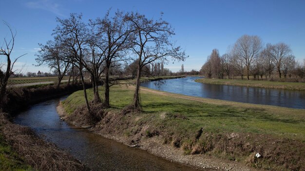 Um rio atravessa um campo com árvores e um céu azul