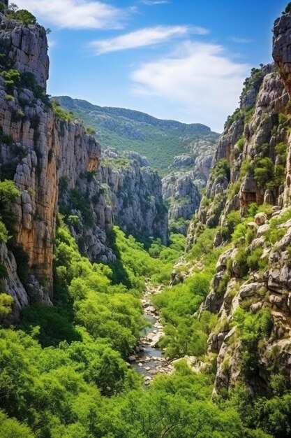 Foto um rio atravessa um desfiladeiro com uma montanha ao fundo