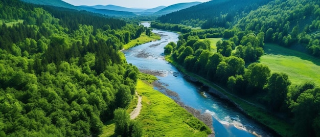 Um rio atravessa um vale com árvores e montanhas ao fundo
