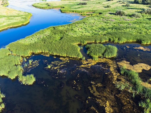 Um rio atravessa uma paisagem gramada com um rio em primeiro plano.