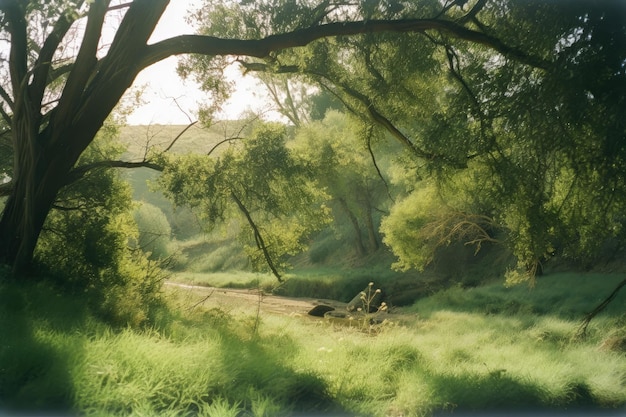 Um rio com árvores e uma pessoa sentada num banco