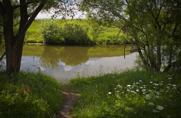 Um rio com reflexo do céu Paisagem de verão da Rússia central