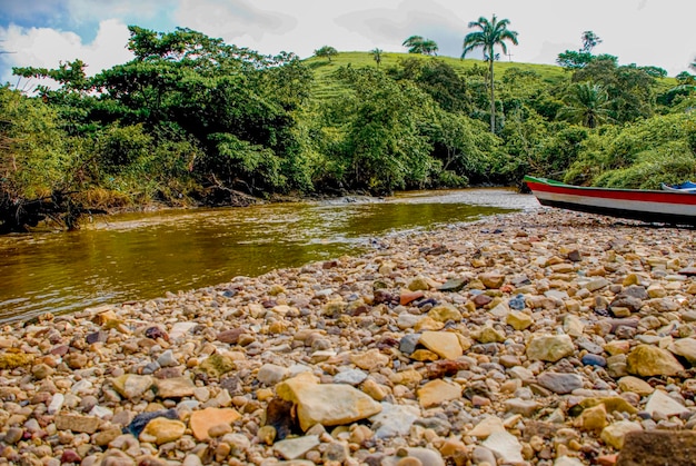 Foto um rio com um barco e uma selva ao fundo