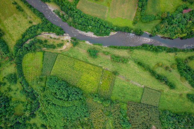 Um rio corre através de um campo verde