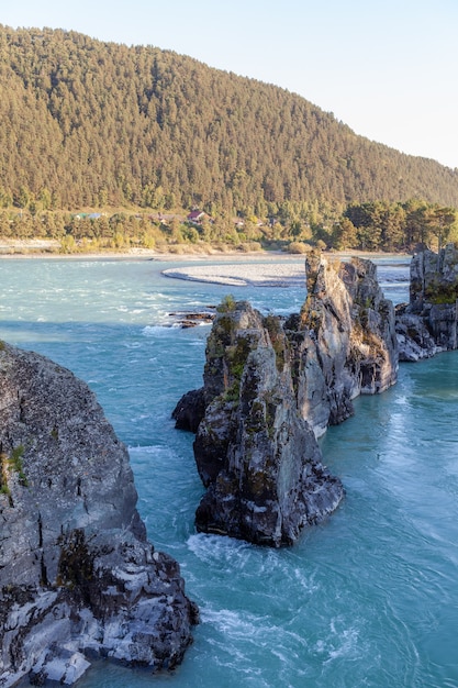 Um rio de montanha largo e cheio de fluxo rápido. Grandes pedras projetam-se da água. Rio Katun da montanha grande, cor turquesa, nas montanhas Altai, República de Altai.