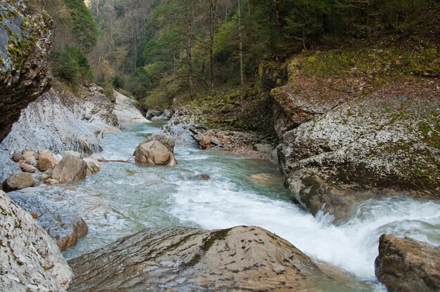 Um rio de montanha que flui entre as montanhas guam gorge