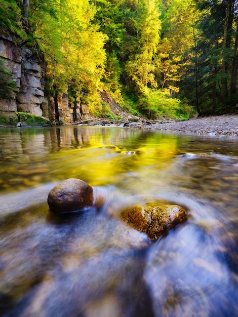 Um rio em um canyon A floresta durante o pôr do sol Uma paisagem natural no verão