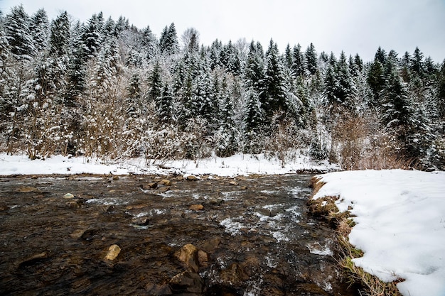 Um rio na floresta com neve no chão e árvores ao fundo