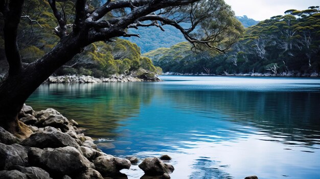 Um rio na floresta.