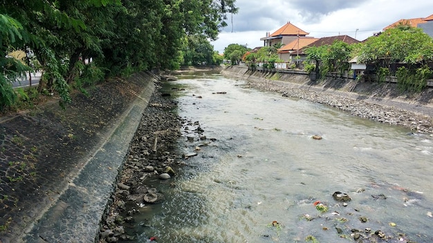 Um rio que flui através de uma selva densa