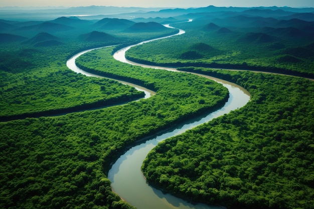 Um rio sinuoso flui através de florestas densas