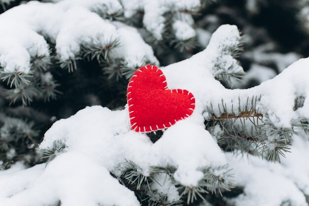 Um símbolo feriado de valentine, rime nos galhos e dois corações vermelhos.