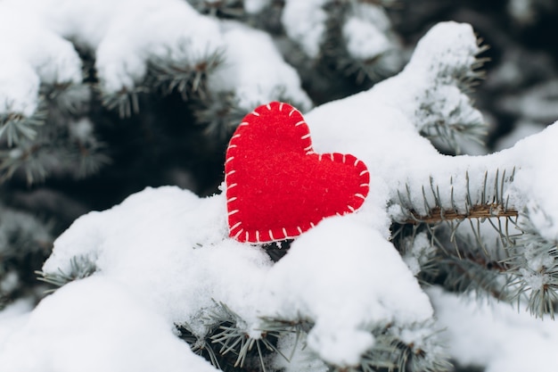 Um símbolo feriado de valentine, rime nos galhos e dois corações vermelhos.