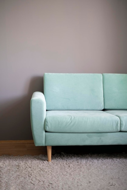 Um simples sofá cinza claro em casa estilo apartamento minimalista