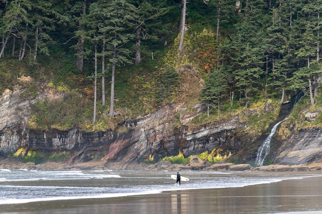 Um surfista entra na água com sua prancha e uma cachoeira ao fundo no Oswald West State Park