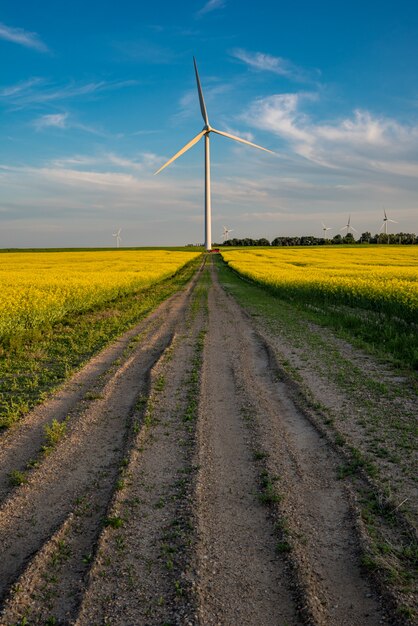 Um SUV vermelho abaixo de uma turbina eólica no final de uma estrada em um campo de canola