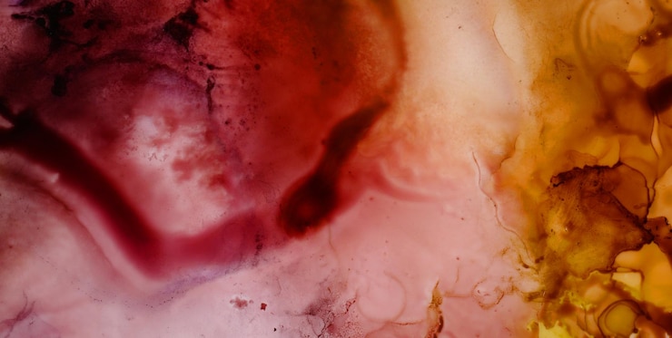 Foto um tapete vívido de cores e formas abstratas