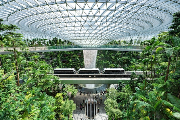 Um telhado de vidro com uma passarela e plantas dentro