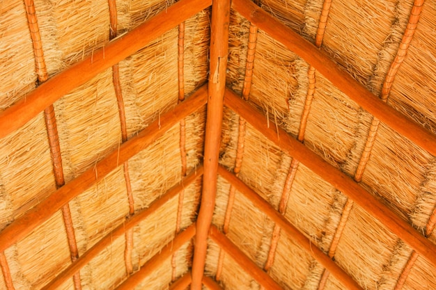 Um telhado feito de palha com a palavra palmeira.