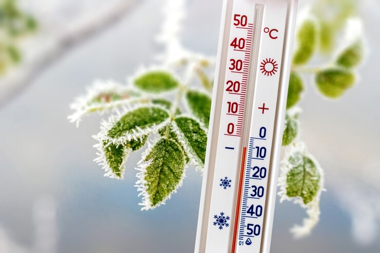Foto um termômetro em um fundo de folhas cobertas de geada mostra 5 graus abaixo de zero