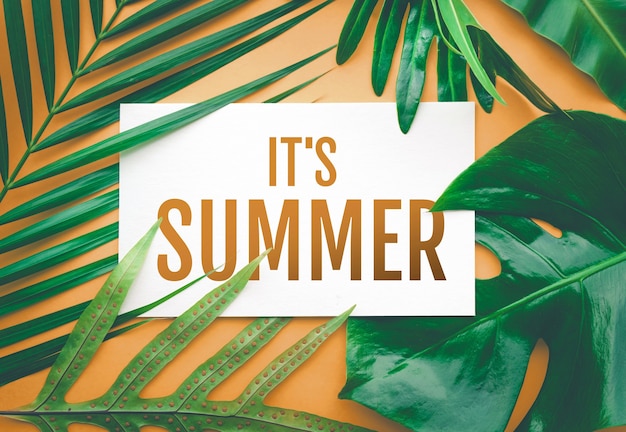 É um texto de verão com folhas tropicais em fundo de cor pastel. Para design de anúncios promocionais