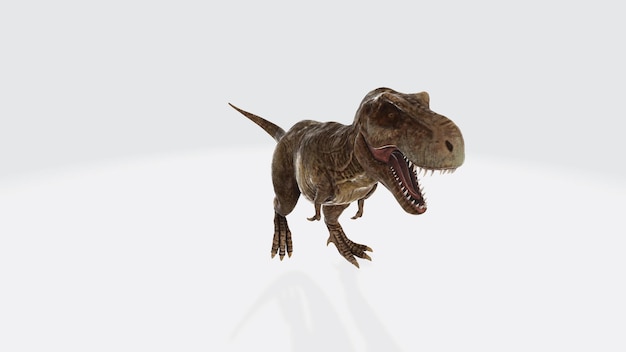 Um tiranossauro rex é mostrado em um fundo branco.