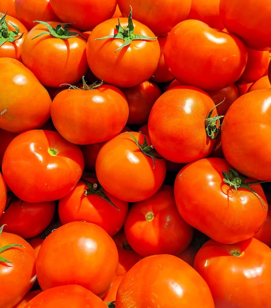 Um tiro de alto ângulo de tomates vermelhos brilhantes