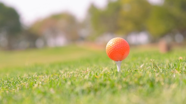 Um tiro de close-up de uma bola de golfe laranja em um curso