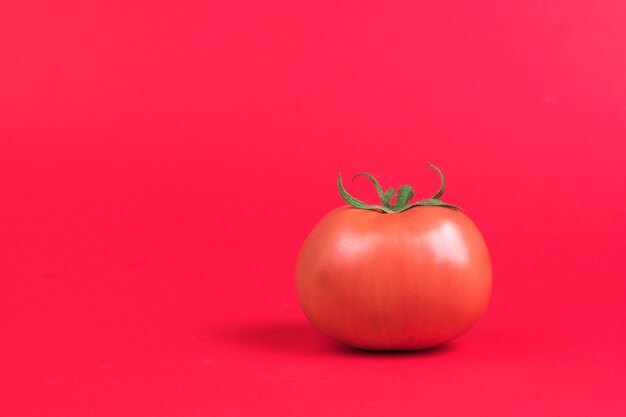 Um tomate vermelho maduro sobre um fundo vermelho brilhante. Uma nova safra de vegetais.