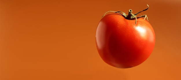 Um tomate vermelho saboroso fresco Baga multicelular suculenta Uma erva anual ou perene Cultura vegetal Tomate suculento com caule verde Banner com espaço de cópia