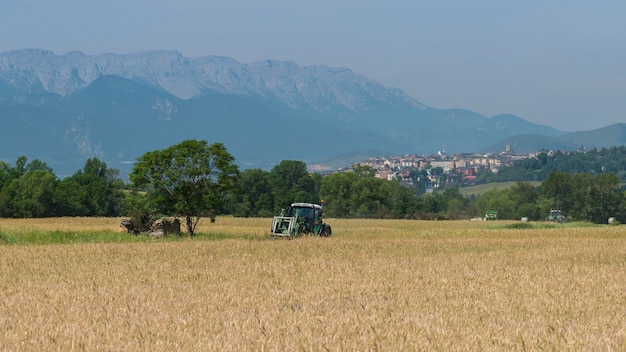 Um trator em um campo de trigo no campo